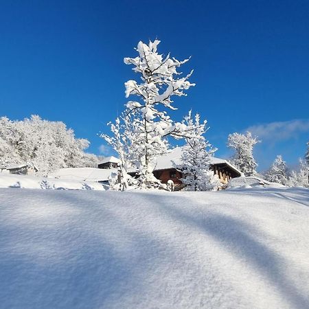 Le Refuge Du Montagnard Panzió Marthod Kültér fotó