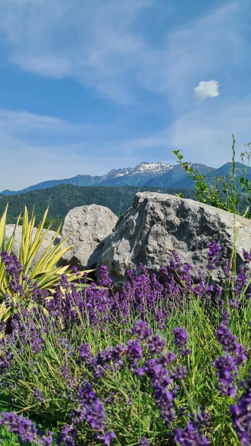Le Refuge Du Montagnard Panzió Marthod Kültér fotó