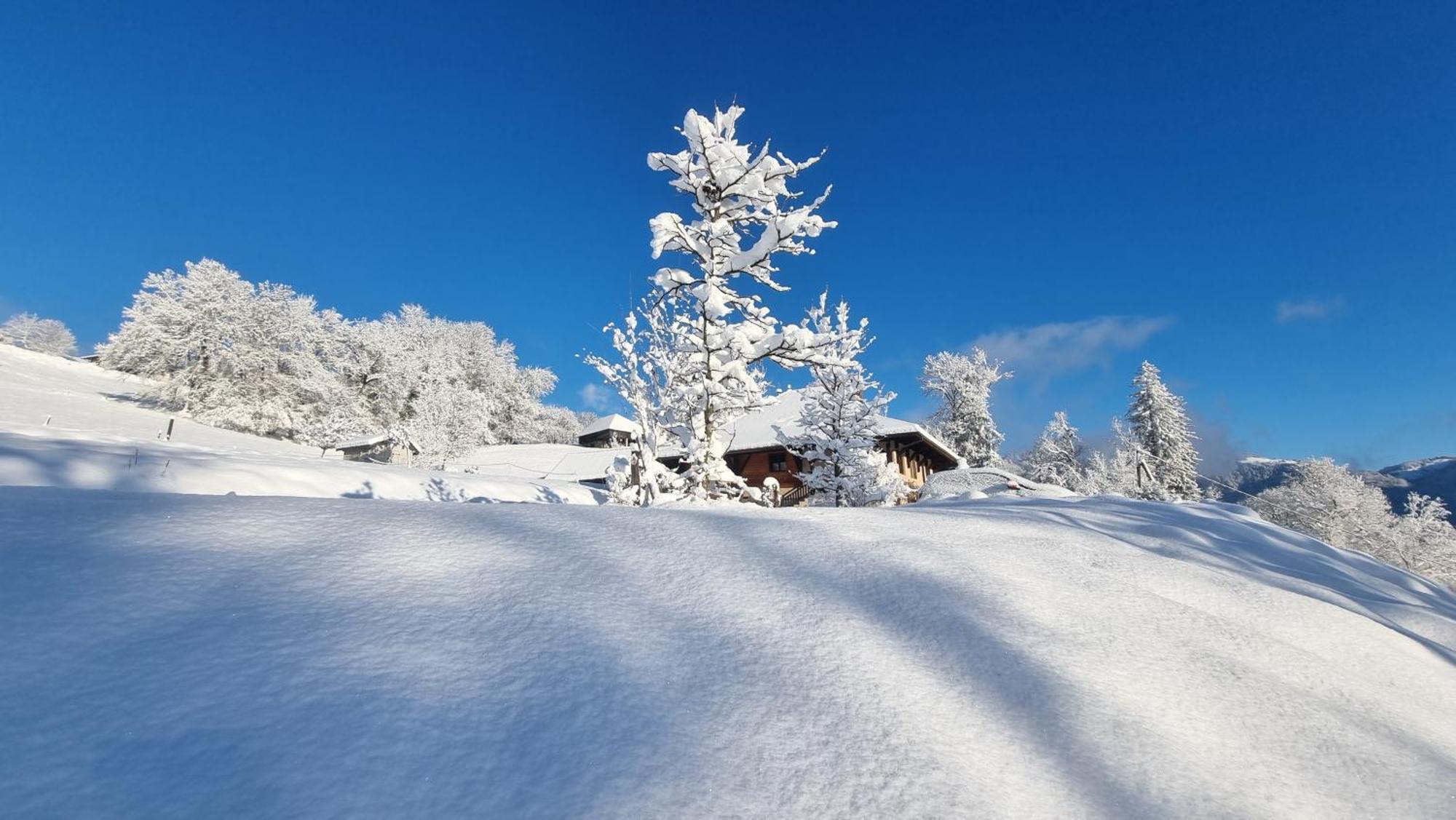 Le Refuge Du Montagnard Panzió Marthod Kültér fotó